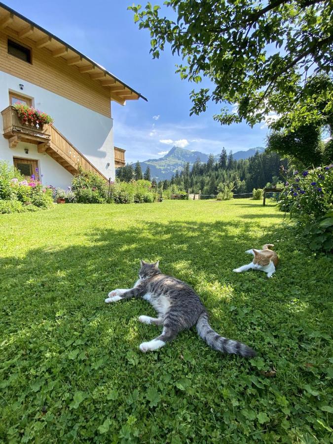 Landhaus Barbara Kitzbühel Exterior foto